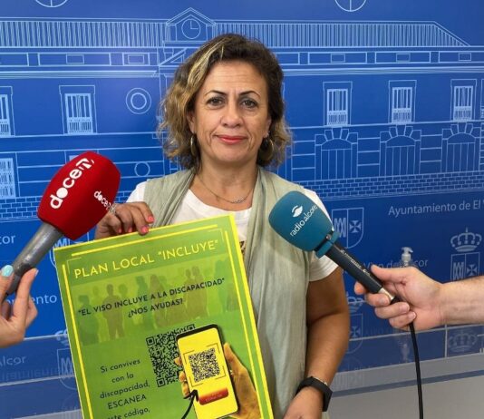 El Ayuntamiento contará con un Plan Local de la discapacidad