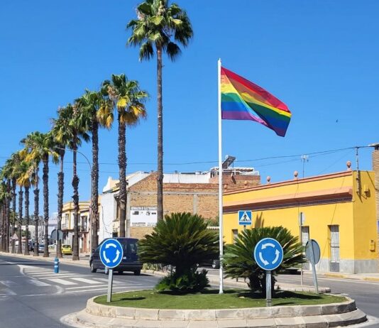 El Ayuntamiento instala un mástil para conmemorar festividades y días internacionales