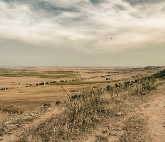 Fuente del Sol presenta al Ayuntamiento un Plan de Reforestación de la Ruta Mágica Corazón de Los Alcores