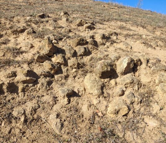 Fuente del Sol advierte que las murallas de La Tablada están “en peligro” de derrumbe