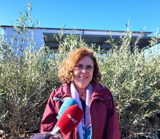 Presentada la nueva edición de ‘Un árbol por Navidad’