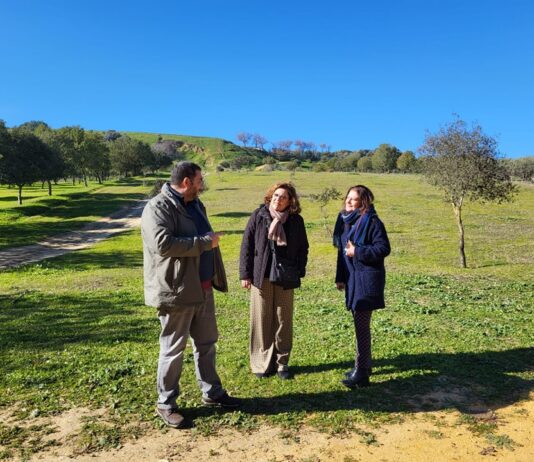 El próximo 7 de febrero habrá una plantación de árboles en el Parque de la Muela