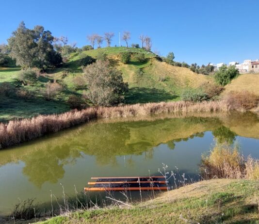 Solano espera que el alcalde no meta “la pata con los patos” en el Parque de la Muela