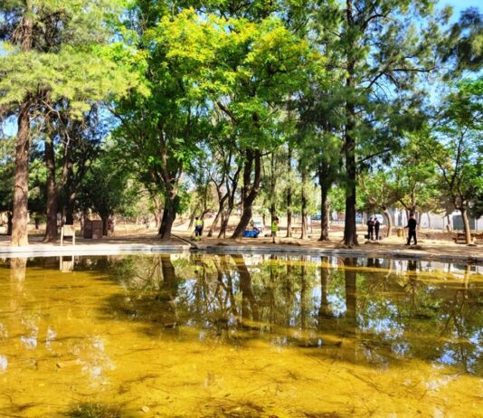 Trabajos de desbroce en el Parque de la Muela para evitar incendios