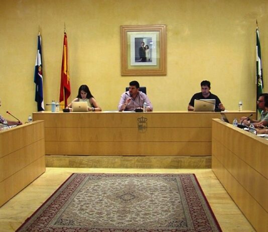 Celebrado el Pleno de Organización