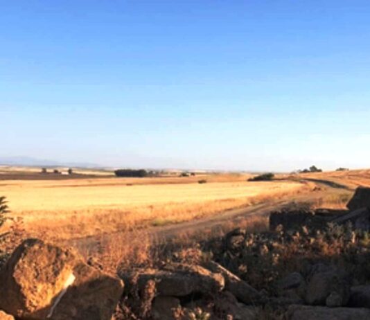 Adjudicado el estudio para convertir el antiguo trazado del Tren de los Panaderos en Vía Verde de Los Alcores