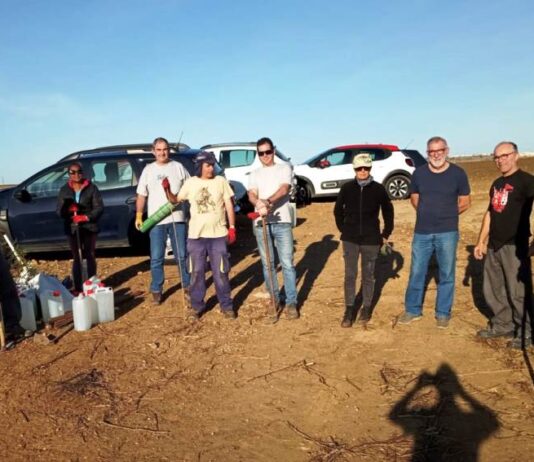Solano interviene en la reforestación del Arroyo de la Choba