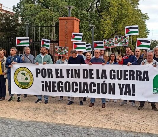 Solano pide “diálogo” y el final “del genocidio” en Palestina