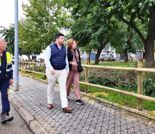Santos visita las obras de mejora de la Plaza Europa