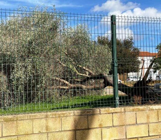 IU critica el retraso del Ayuntamiento en arreglar “los estragos” de la borrasca Bernard
