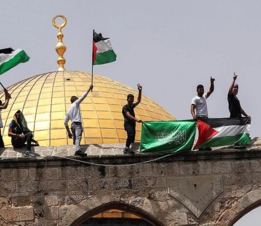 Solano se pronuncia sobre el conflicto israelí palestino: “Condenamos todos los crímenes de guerra”