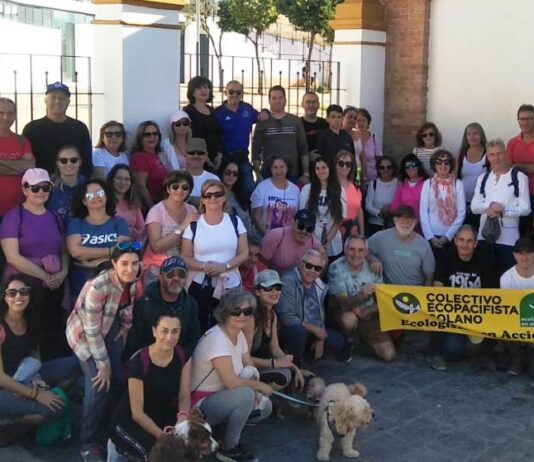 Solano organiza una ruta arqueológica «tras los pasos de Jorge Bonsor»