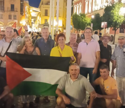 Solano participará en la movilización estatal contra el genocidio en Palestina