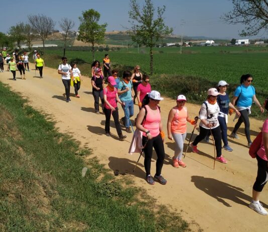 Fuente del Sol y Amigos de El Viso se desvinculan de la plataforma ‘El camino que nos une’