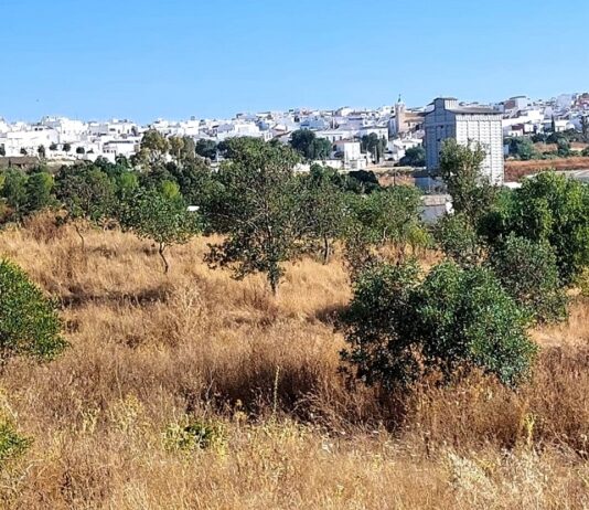 Solano avanza que el Parque de La Muela «corre peligro de ser pasto de las llamas»