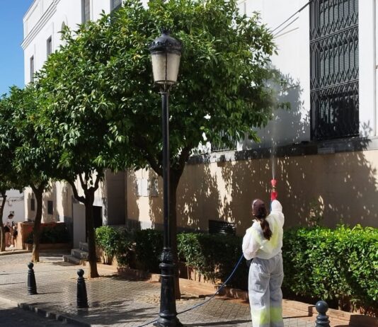 Habrá una nueva plantación de árboles a final de año mientras se continúa con el tratamiento de los naranjos