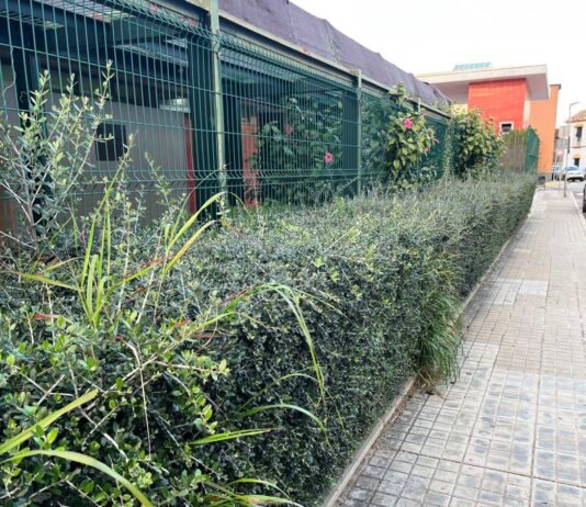 El PP habla de «vergüenza» por el estado de «abandono» de la piscina municipal