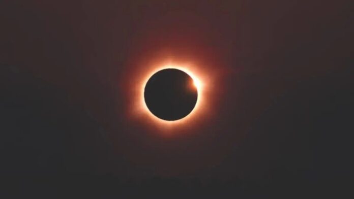 20260806085259162608