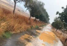 Solano denuncia vertidos de aguas residuales en la Vega y en la Vía Verde