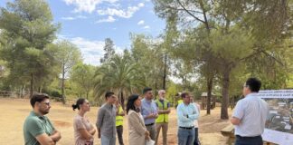 La CHG invierte 1,3 millones para mejorar la seguridad hidráulica del arroyo de La Muela
